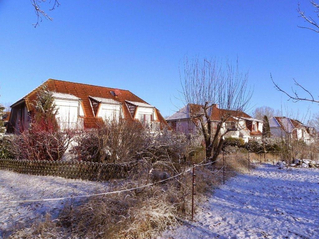 Ferienwohnung-Nils-Holgerson-Mit-Balkon-Zwischen-Strand-Wald-Wiese-Im-Suedosten-Der-Insel-Ruegen Gustow  Luaran gambar
