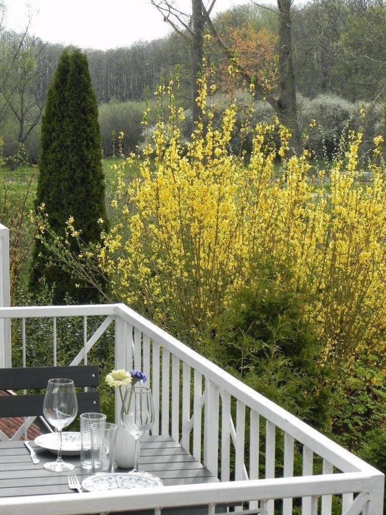 Ferienwohnung-Nils-Holgerson-Mit-Balkon-Zwischen-Strand-Wald-Wiese-Im-Suedosten-Der-Insel-Ruegen Gustow  Luaran gambar